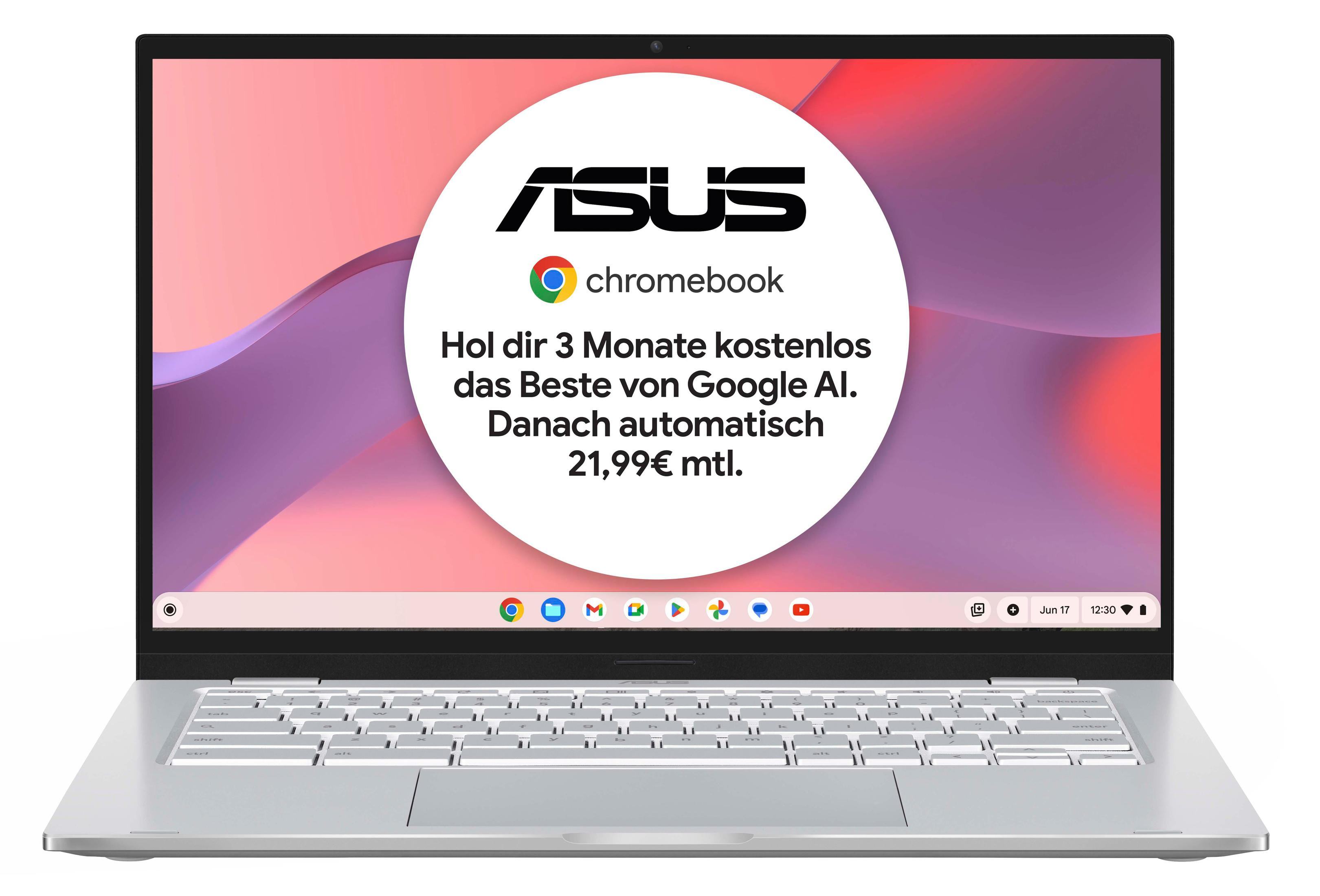 ASUS C425TA-H50081 M3-8100Y/8GB/64GB